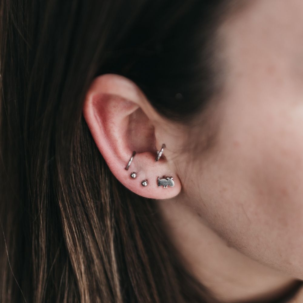 Pendiente pequeño de perro con pendientes adicionales de el corte inglés en la oreja