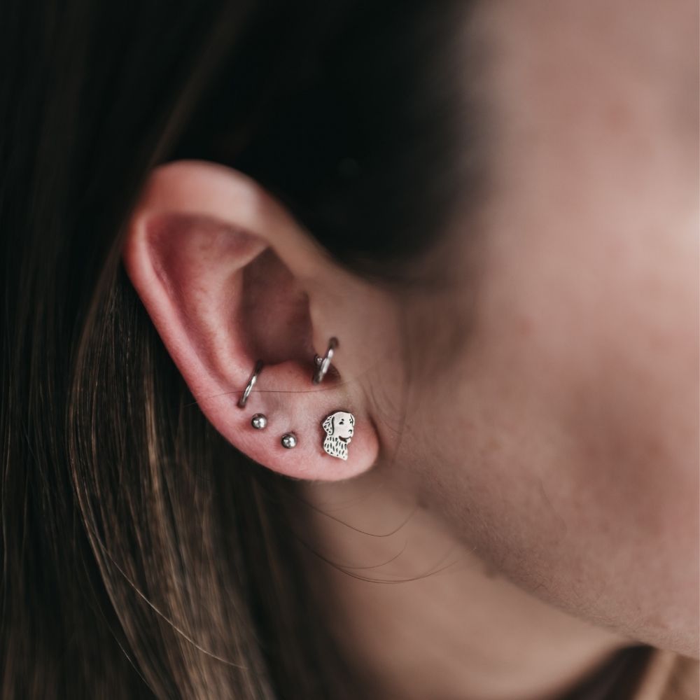Pendientes Tous perro labrador golden junto a aretes pequeños en agujeros adicionales
