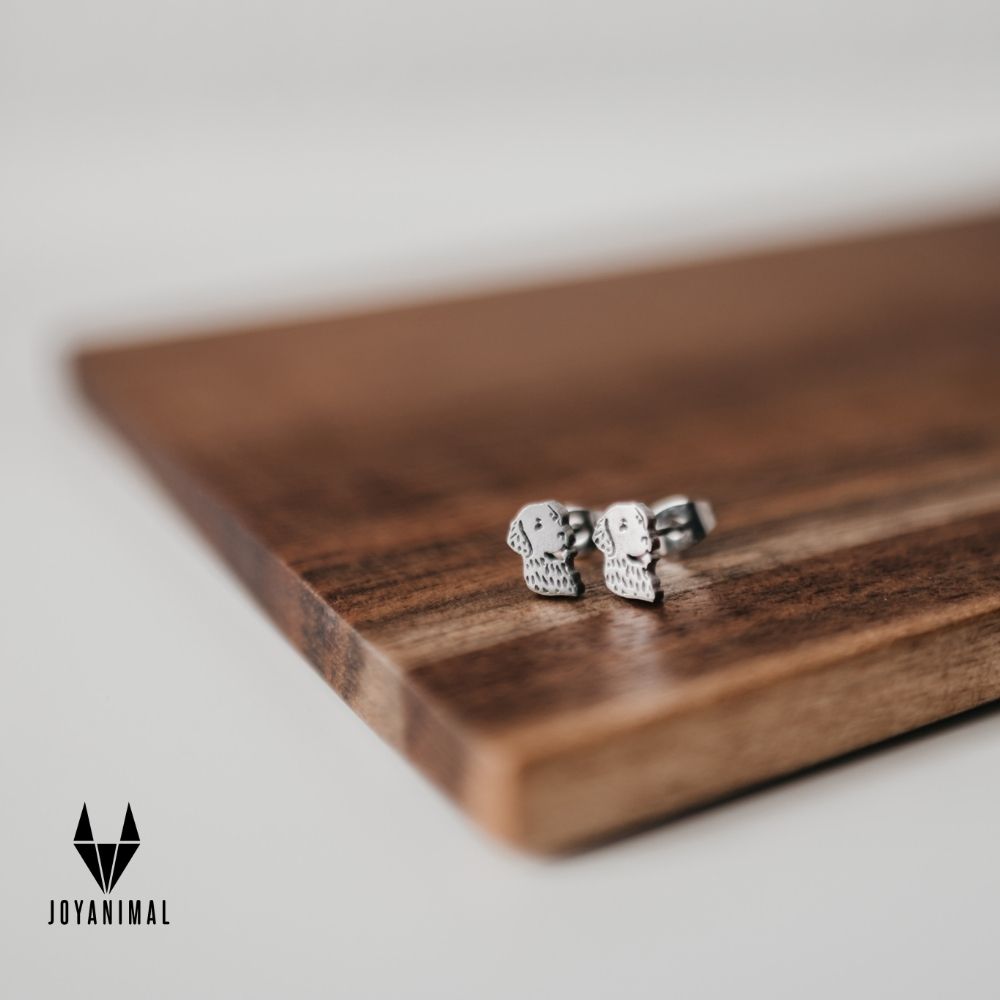 Pendientes perro scottex labrador golden retriever de Pandora
