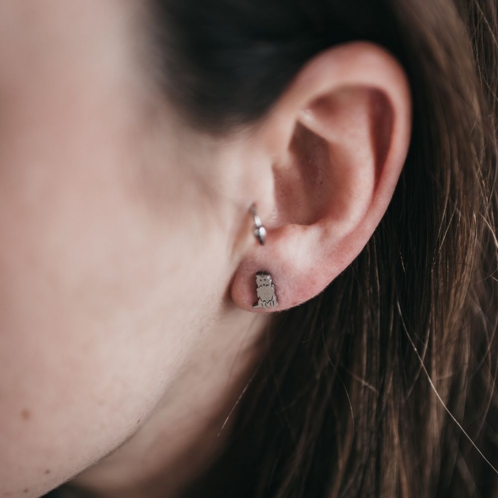 Pendiente en oreja de niña junto a arete, con forma de perrito border collie plateado by pandora