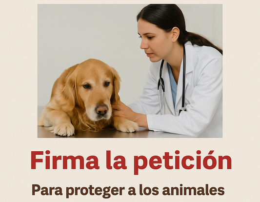 Veterinaria atendiendo a un perro con las letras de firma la petición