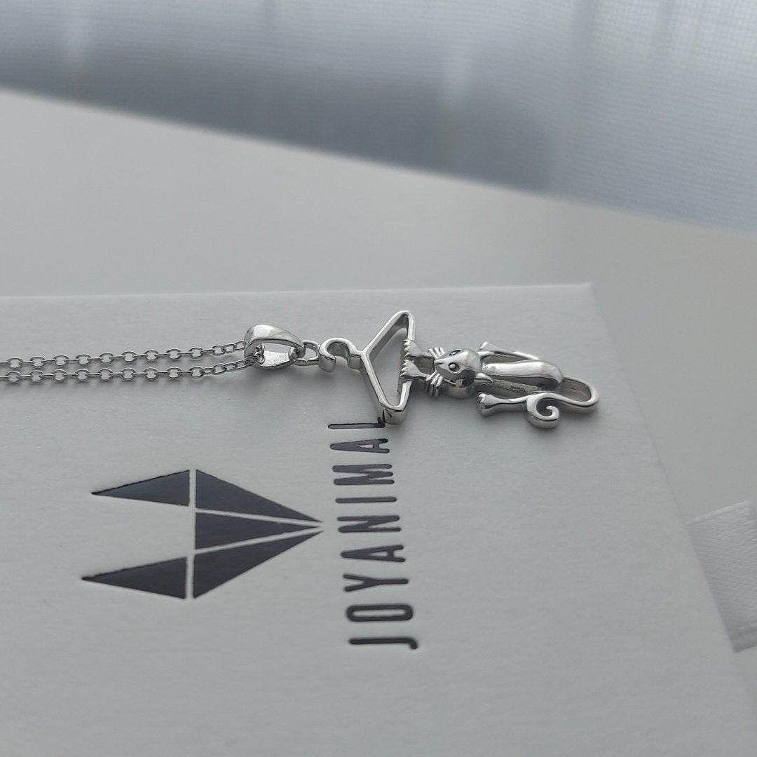 Collar con colgante de gato colgando de una percha de plata de ley, sobre caja de regalo con logo de JOYANIMAL