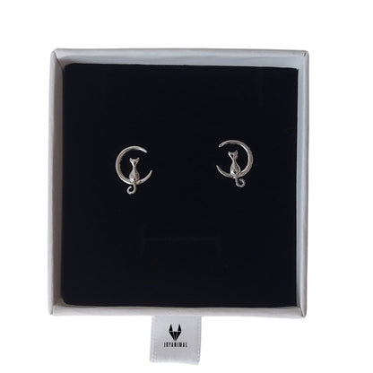 Pendientes de gato para niña con una luna menguante, en bonita caja de regalo  de pandora
