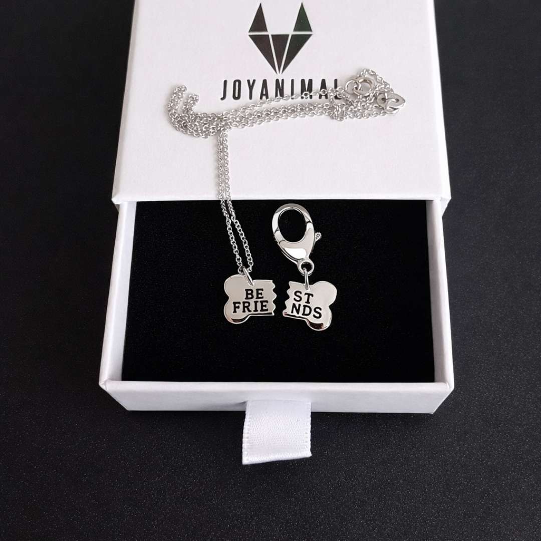 Collar para mujeres y perros con forma de medios huesos en plata de ley, Best friends PANDORA