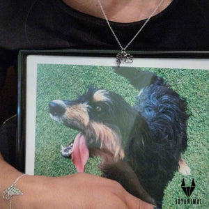 Collar y pulsera con huella y ala sobre la foto de un perro fallecido para recordarlo.