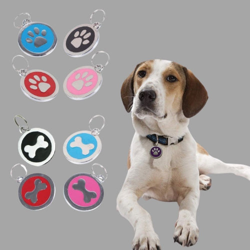 Colgantes para perros en diferentes colores y formatos junto a un perro con el colgante puesto en el collar.