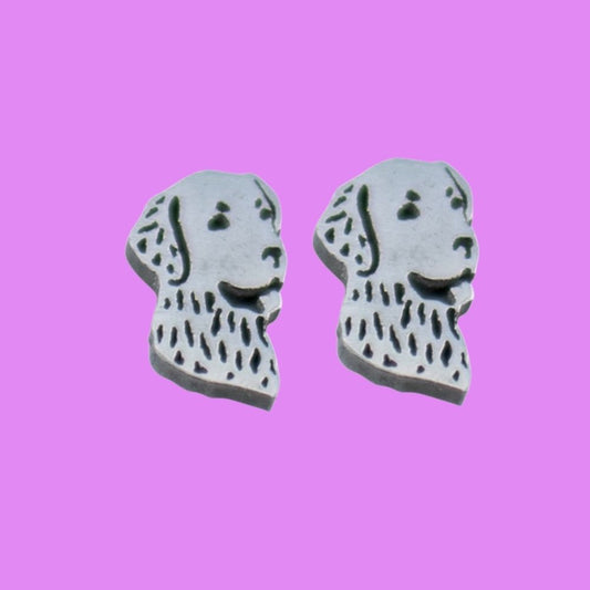 Pendientes perro labrador golden retriever scottex