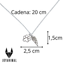 Infografía de la pulsera con sus medidas de la cadena (20cm.) y los colgantes de huella y ala (2,5 x 1,5 cm)