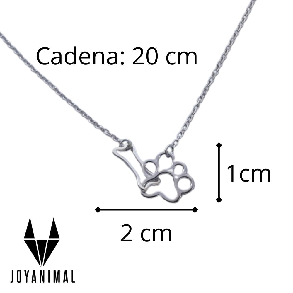 Infografía con las medidas de la pulsera con huella de perro y hueso (20 cm. de cadena y el colgante de 2 x 1 cm)